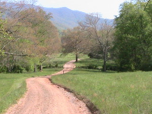 Old Coggins Farm